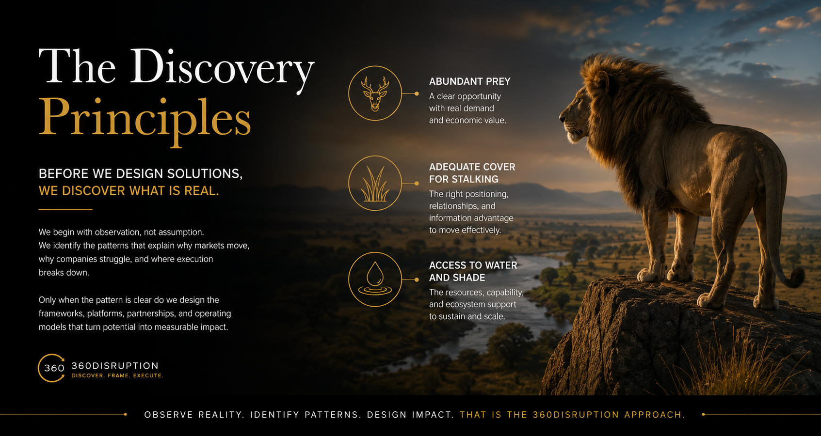 Every solution begins with discovery.