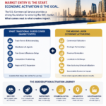 Infographic comparing traditional UAE market entry strategies with economic activation pathways, including partnerships, commercialization, localization, and industrialization.