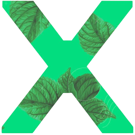 Xerostrip Logo